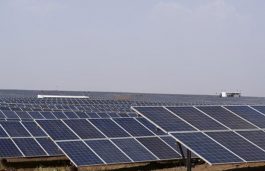 Madhya Pradesh Targets to Beat China, Build World’s Biggest Solar Plant