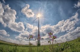3.35 GW of Wind Capacity Auctioned in the Q1 2020; 1.2 GW in India