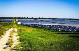 CESL Tenders for 100 MW Solar Power Systems Across Maharashtra