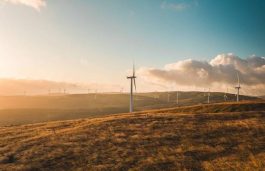Africa and Middle East Added 894 MW of Wind Energy in 2019