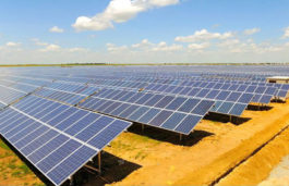 SECI to Launch Overseas Arm to Meet Demand for Solar Power Production