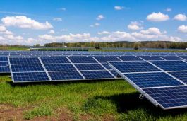 SECI’s 70 MW Amguri Solar Park Tender to Close on May 22