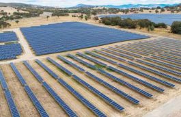 Saudi Arabia’s Bin Omairah to Up Solar Panel Exports to Europe, Africa