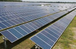 Perceived Risk of Investment in Indian Solar Market Cited in UNDP HDR