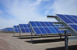 IBC SOLAR signs PPA with SECI for a 20 MW AC solar power plant in Odisha