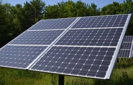 CMEC to Invest €230 mn in Solar Plant Construction in Ukraine