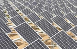 EDF-Jinko Consortium Awarded World’s Largest Solar Project in Abu Dhabi