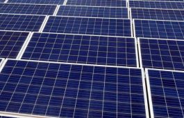 NLC issues tender for 100 MW ISTS-connected solar projects