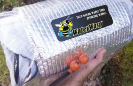Water Wasp – Off-Grid Solar Water Maker