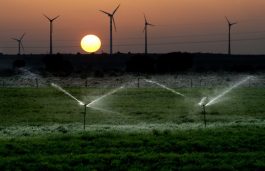 India Must Intensify Policy Reforms to hit 60 GW Wind Target by 2022: Report