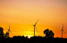 Punjab Gives Seal of Approval for Rs 100 Cr Renewable Projects